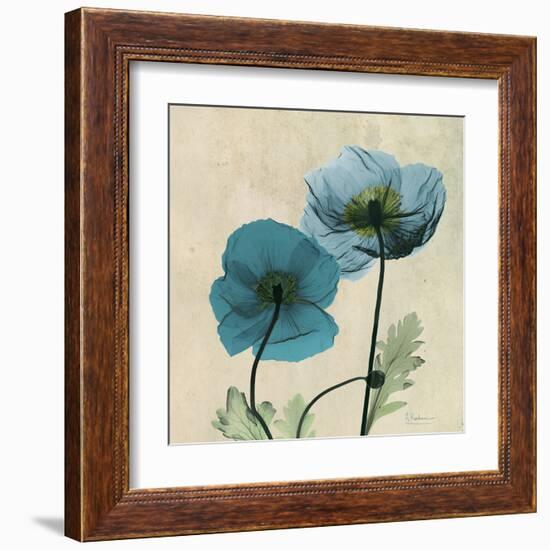 Iceland Poppy Duo-Albert Koetsier-Framed Art Print