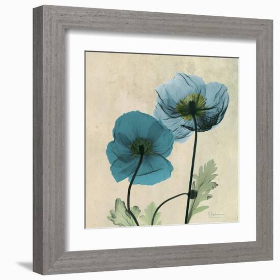 Iceland Poppy Duo-Albert Koetsier-Framed Art Print