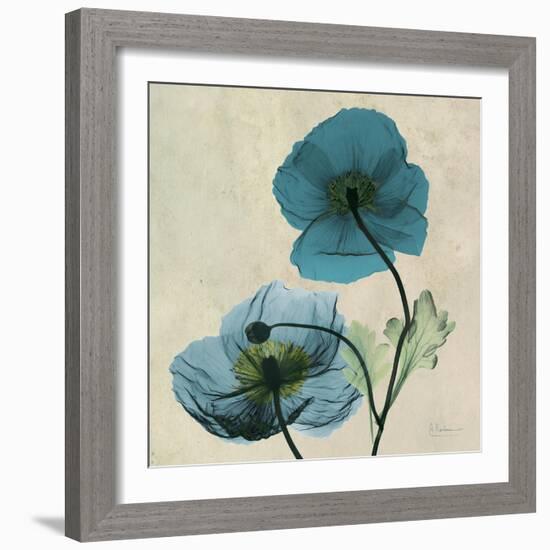 Iceland Poppy Duo-Albert Koetsier-Framed Art Print