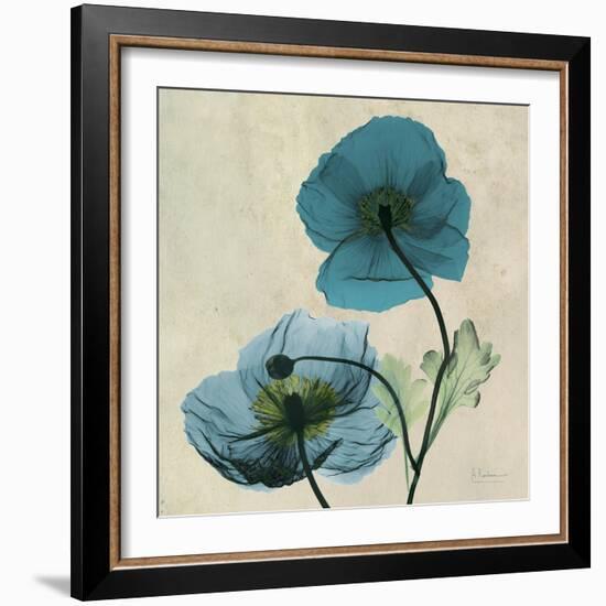 Iceland Poppy Duo-Albert Koetsier-Framed Art Print