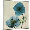 Iceland Poppy Duo-Albert Koetsier-Mounted Art Print