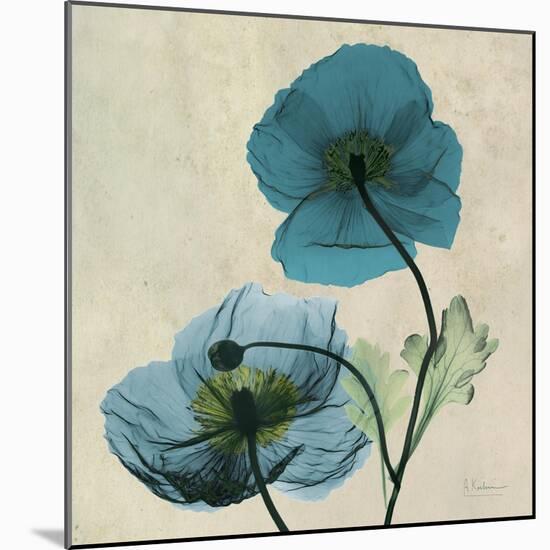 Iceland Poppy Duo-Albert Koetsier-Mounted Art Print