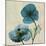 Iceland Poppy Duo-Albert Koetsier-Mounted Premium Giclee Print