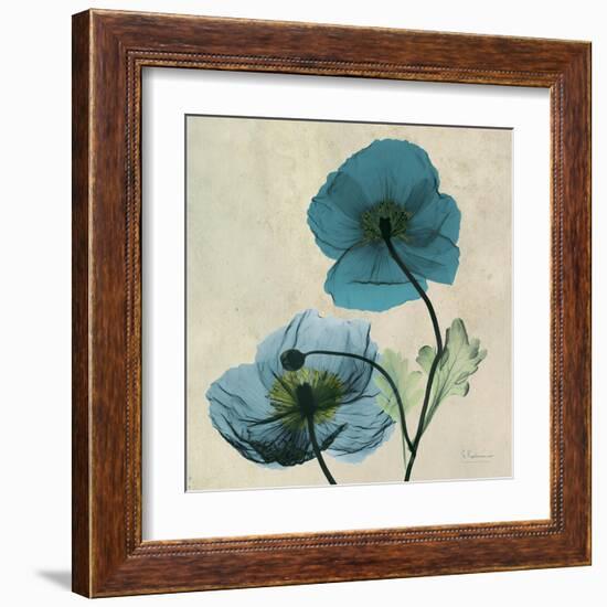 Iceland Poppy Duo-Albert Koetsier-Framed Art Print