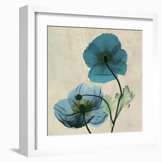 Iceland Poppy Duo-Albert Koetsier-Framed Art Print