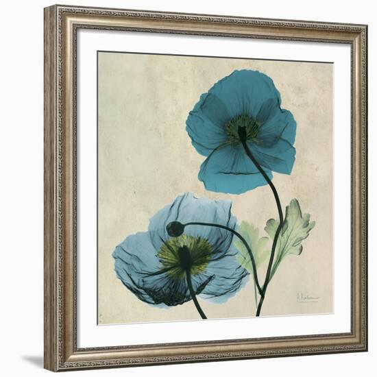 Iceland Poppy Duo-Albert Koetsier-Framed Premium Giclee Print