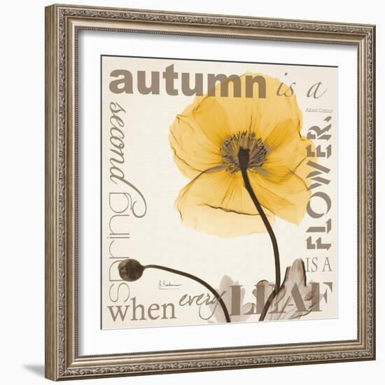 Iceland Poppy Harvest-Albert Koetsier-Framed Photographic Print