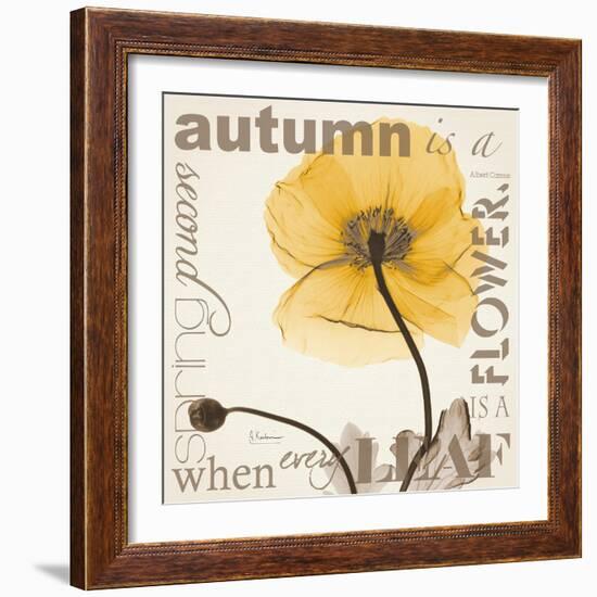 Iceland Poppy Harvest-Albert Koetsier-Framed Photographic Print