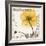 Iceland Poppy Harvest-Albert Koetsier-Framed Photographic Print