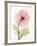 Iceland Poppy I-Steven N^ Meyers-Framed Art Print