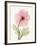 Iceland Poppy I-Steven N^ Meyers-Framed Art Print