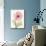 Iceland Poppy I-Steven N^ Meyers-Mounted Art Print displayed on a wall