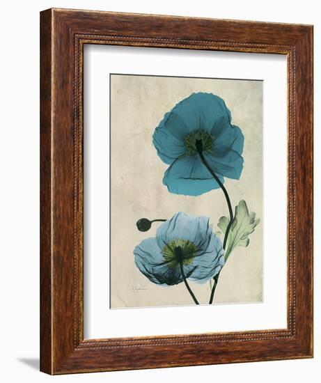 Iceland Poppy Moments-Albert Koetsier-Framed Art Print