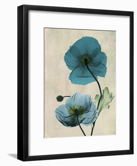 Iceland Poppy Moments-Albert Koetsier-Framed Premium Giclee Print