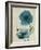 Iceland Poppy Moments-Albert Koetsier-Framed Premium Giclee Print