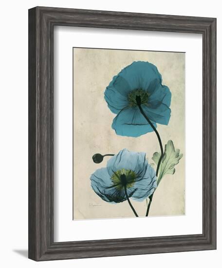 Iceland Poppy Moments-Albert Koetsier-Framed Premium Giclee Print