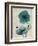 Iceland Poppy Moments-Albert Koetsier-Framed Premium Giclee Print