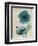 Iceland Poppy Moments-Albert Koetsier-Framed Premium Giclee Print