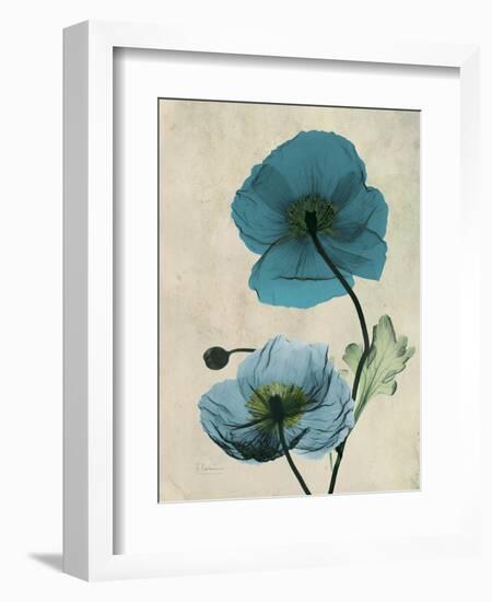 Iceland Poppy Moments-Albert Koetsier-Framed Premium Giclee Print