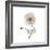 Iceland Poppy Square-Albert Koetsier-Framed Premium Giclee Print