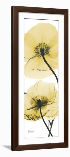 Iceland Poppy Yellow-Albert Koetsier-Framed Art Print