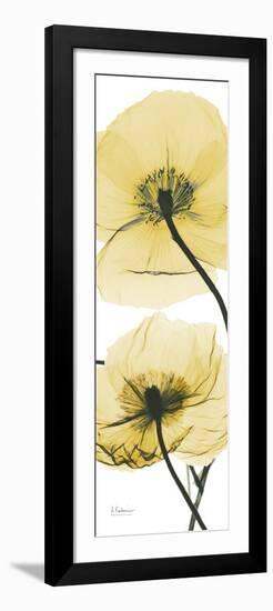 Iceland Poppy Yellow-Albert Koetsier-Framed Art Print