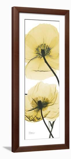 Iceland Poppy Yellow-Albert Koetsier-Framed Art Print