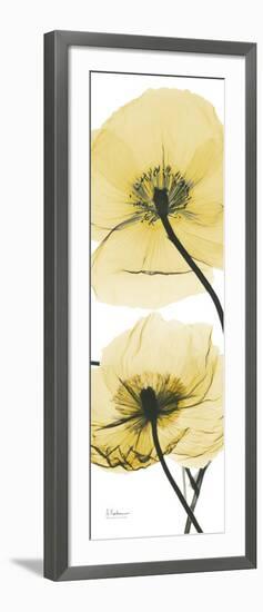 Iceland Poppy Yellow-Albert Koetsier-Framed Art Print