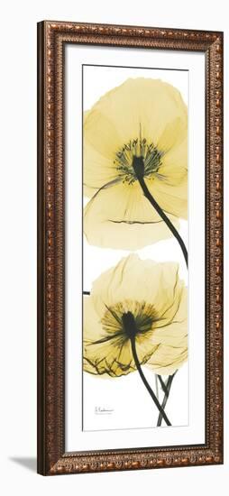 Iceland Poppy Yellow-Albert Koetsier-Framed Art Print