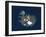 Iceland, Satellite Image-PLANETOBSERVER-Framed Photographic Print