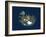 Iceland, Satellite Image-PLANETOBSERVER-Framed Photographic Print