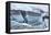 Iceland, Skaftafell National Park, Skaftafelljokull Glacier. Huge chunks of glacial ice.-Ellen Goff-Framed Premier Image Canvas