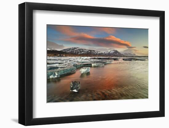 Iceland, South Iceland, Jokulsarlon, Ice on the Lagoon Reflecting the Colours of Dawn-Fortunato Gatto-Framed Photographic Print