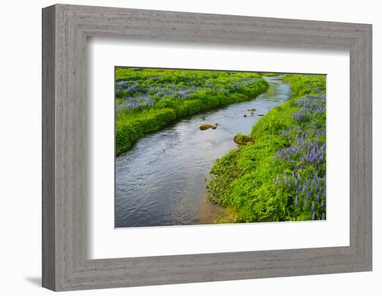 Iceland. South. Vik I Myrdal. Stream Running Down to the Beach-Inger Hogstrom-Framed Photographic Print