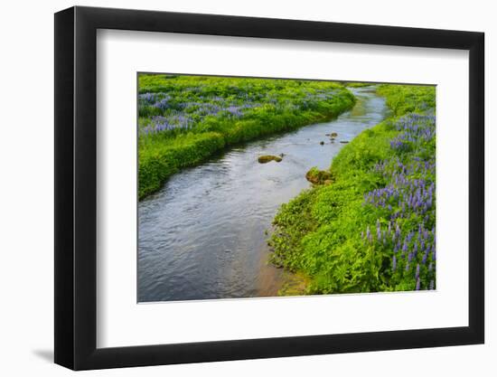 Iceland. South. Vik I Myrdal. Stream Running Down to the Beach-Inger Hogstrom-Framed Photographic Print