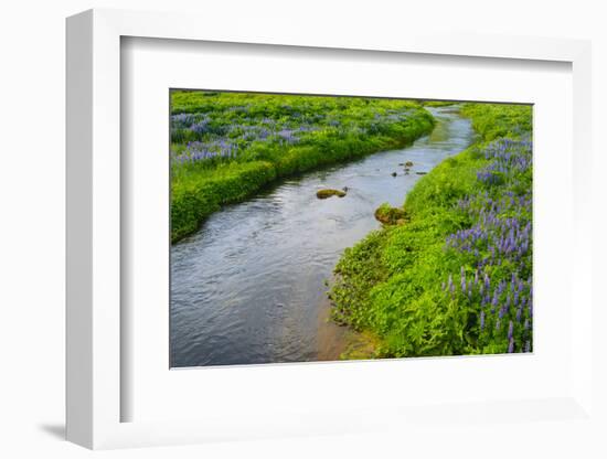 Iceland. South. Vik I Myrdal. Stream Running Down to the Beach-Inger Hogstrom-Framed Photographic Print