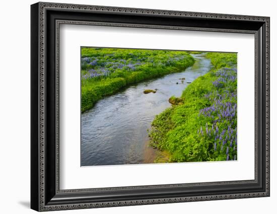 Iceland. South. Vik I Myrdal. Stream Running Down to the Beach-Inger Hogstrom-Framed Photographic Print