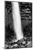 Iceland, Svartifoss, Vatnajokull National Park.-Judith Zimmerman-Mounted Photographic Print