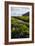 Iceland. Vik I Myrdal. Stream Running Through Field of Wildflowers-Inger Hogstrom-Framed Photographic Print