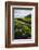 Iceland. Vik I Myrdal. Stream Running Through Field of Wildflowers-Inger Hogstrom-Framed Photographic Print