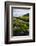 Iceland. Vik I Myrdal. Stream Running Through Field of Wildflowers-Inger Hogstrom-Framed Photographic Print