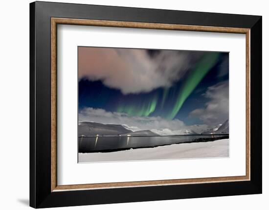 Iceland, West Fjords, Aurora Borealis, Aurora Borealis About the Dyrafjördur Close Pingeyri-Bernd Rommelt-Framed Photographic Print