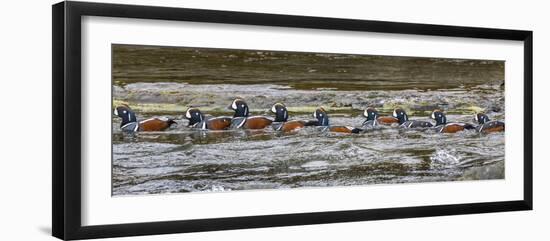 Iceland-Art Wolfe-Framed Photographic Print