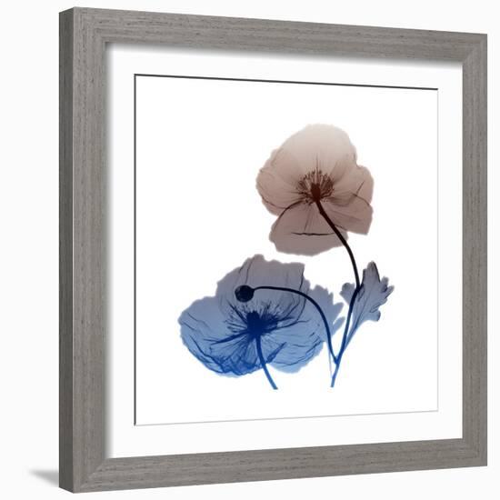 Iceland-Albert Koetsier-Framed Art Print