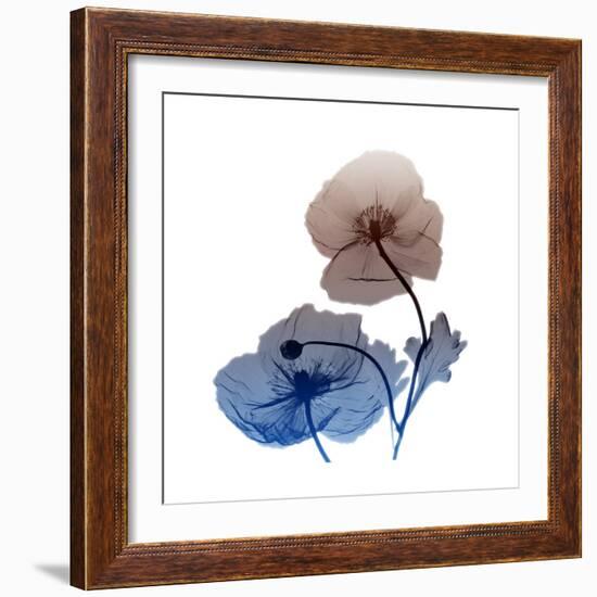 Iceland-Albert Koetsier-Framed Art Print