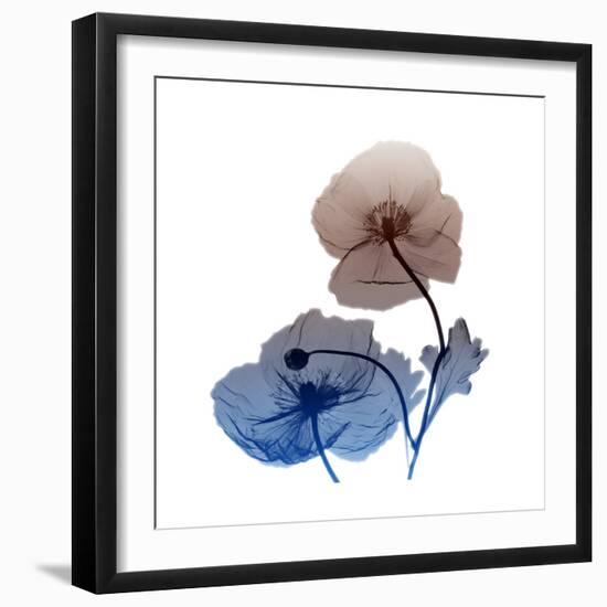 Iceland-Albert Koetsier-Framed Art Print