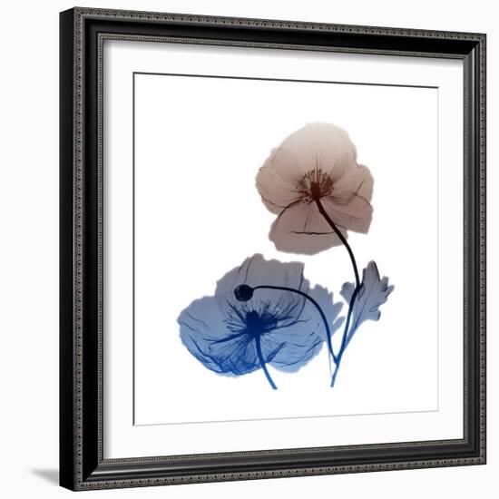 Iceland-Albert Koetsier-Framed Art Print