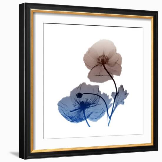 Iceland-Albert Koetsier-Framed Art Print