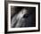 Icelandic Black Stallion, Iceland-null-Framed Photographic Print