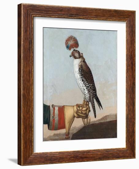 Icelandic Gerfalcon, 1759-German School-Framed Giclee Print